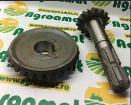 Pinion Set Z15/29