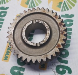 Pinion Z-36 , T21976