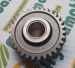 Pinion Z-31 AT19966