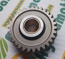 Pinion Z-31 AT19966