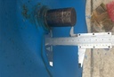 Tavalug 4230943