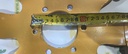 Elice Ventilator Metalica 8 Palete 419679