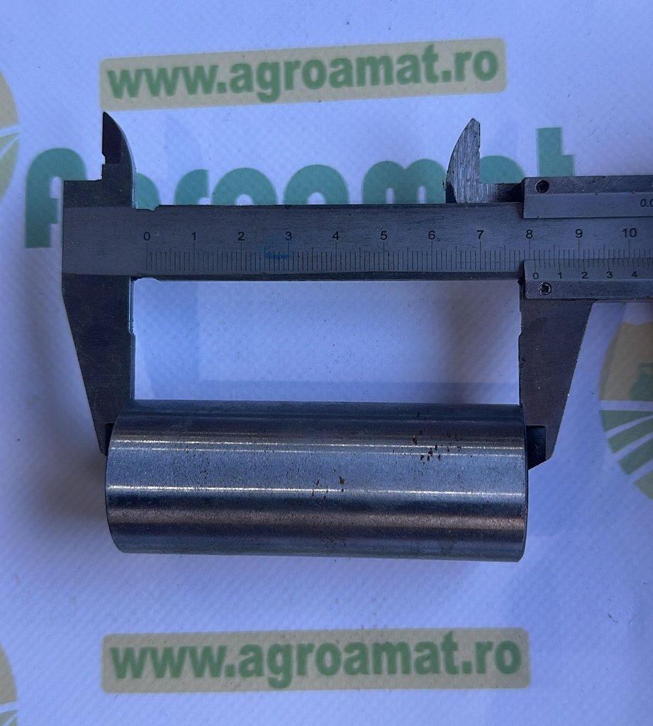 Bucsa 3176975