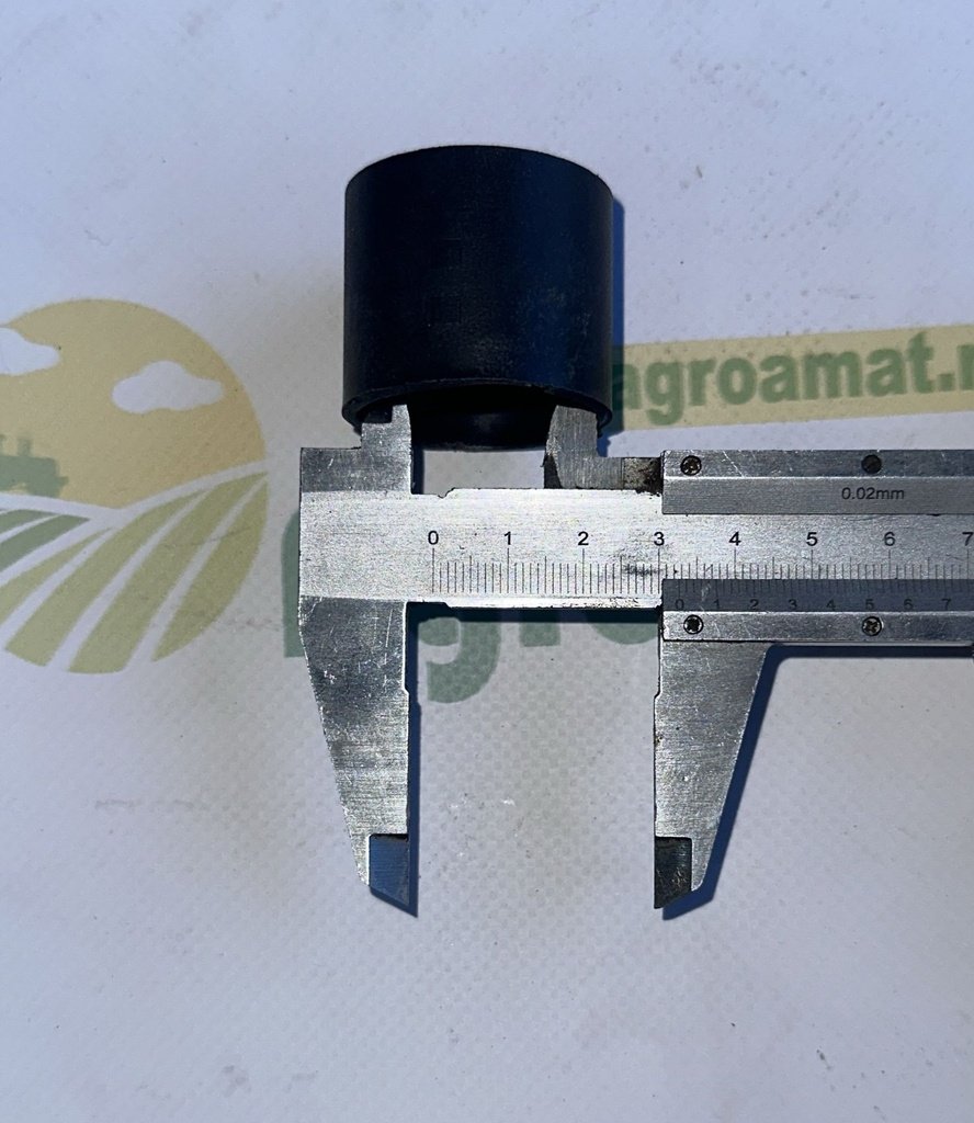 Bucsa 3173032