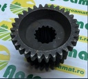 Pinion Z24/31