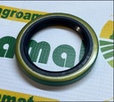 Simering AR67942
