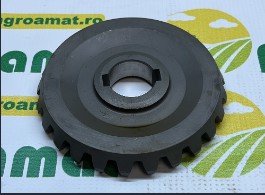 Pinion Z-25 DR8170