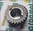 Pinion Grup Conic Z-27 ,  T21977