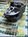 Chiuloasa Deutz Echipata 02239758