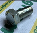 Surub 215615
