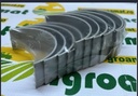 Set Cuzineti Palier R1 1901251