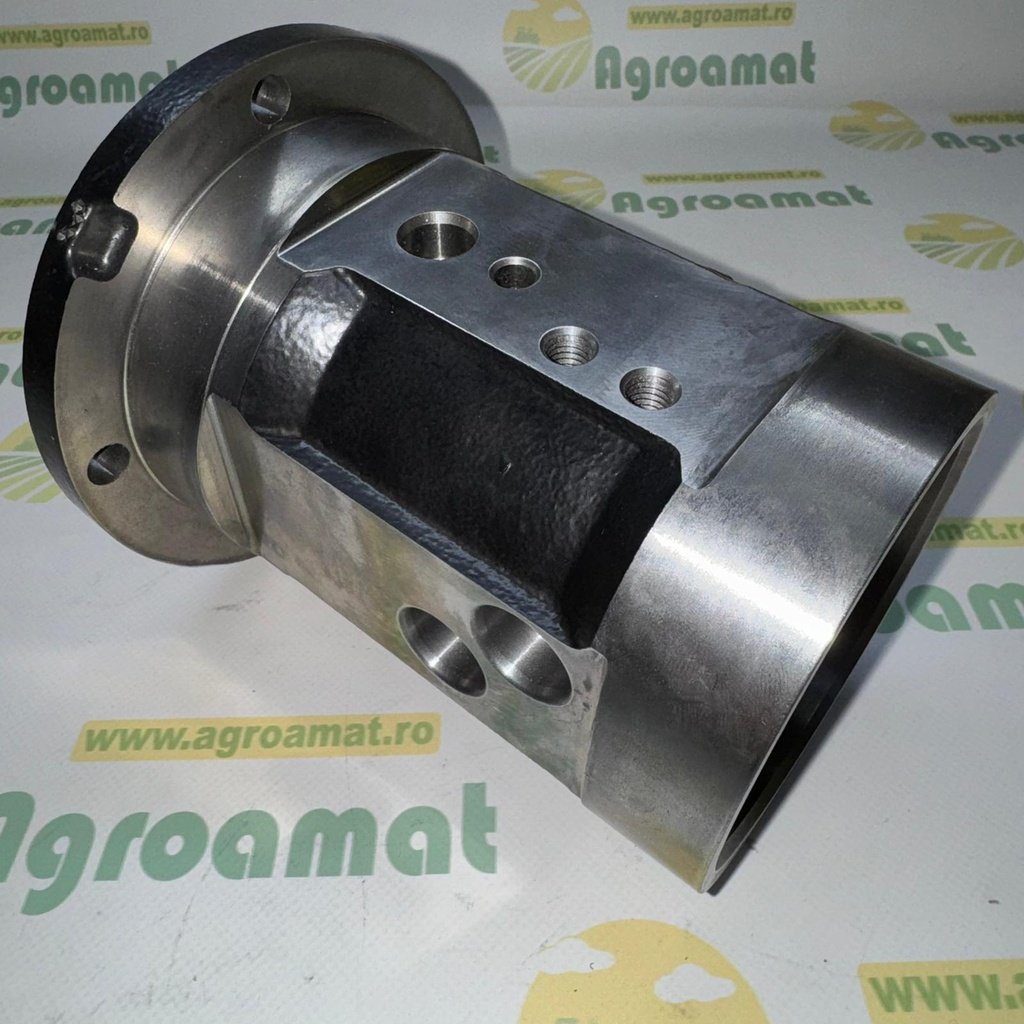 Lagar Rulment 1981213C1