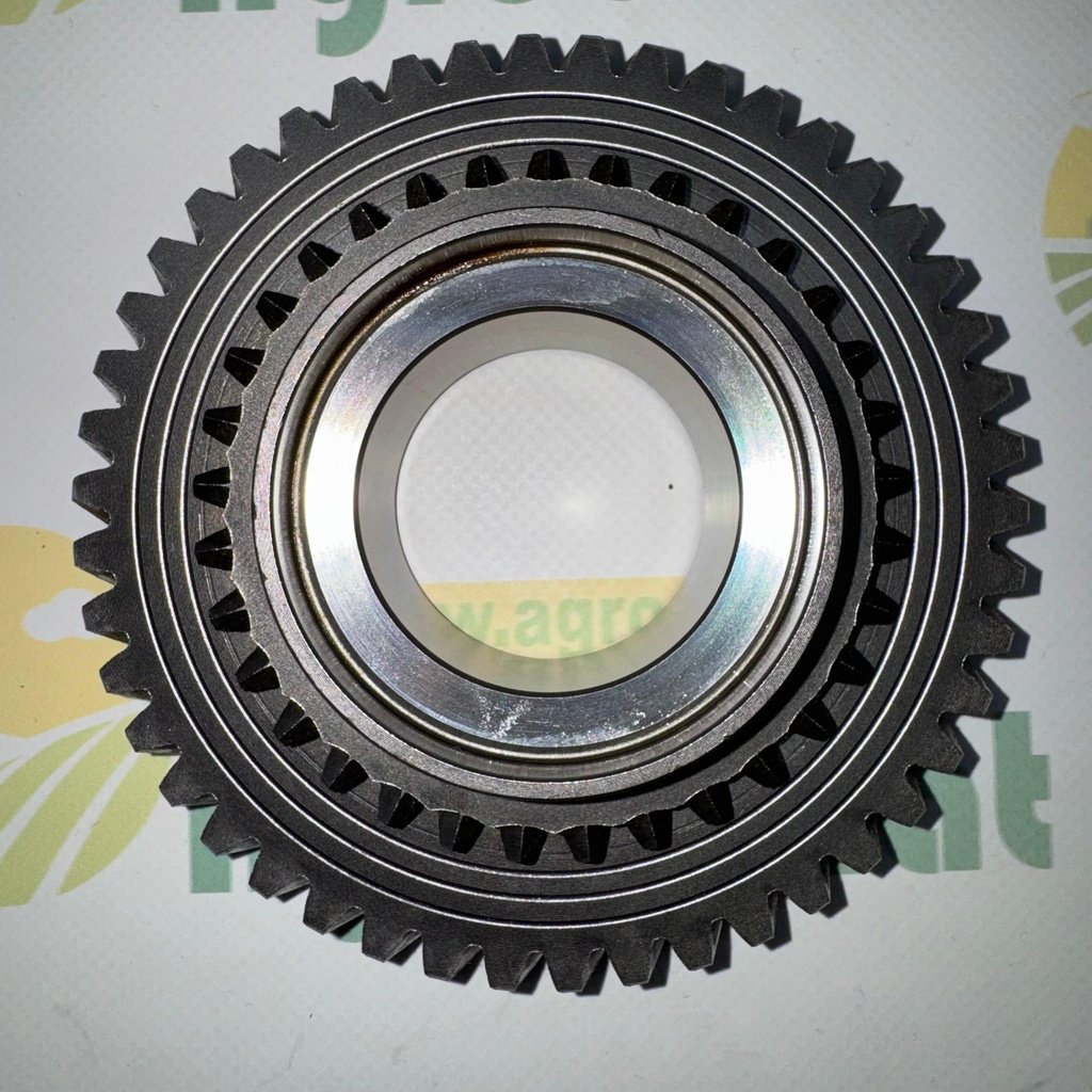 Pinion Z-46 0.010.0006.0/20