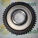 Pinion Z-46 0.010.0006.0/20