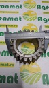 Pinion z-22