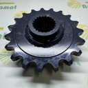 Pinion Z-19