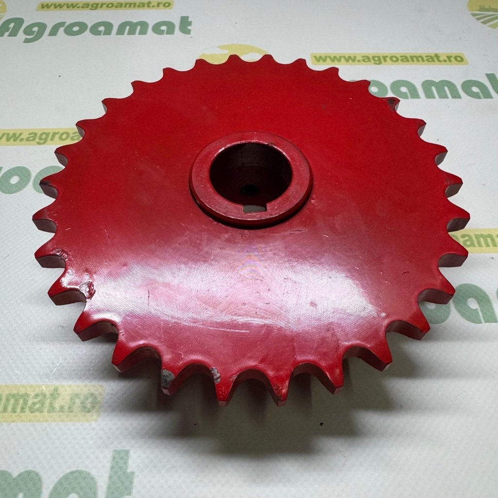 Pinion Z-30 1713.52.07.25