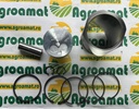 Set Motor Fiat 23/31-268