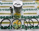 Piston+Segmenti 23/32-268 + 23/34-268