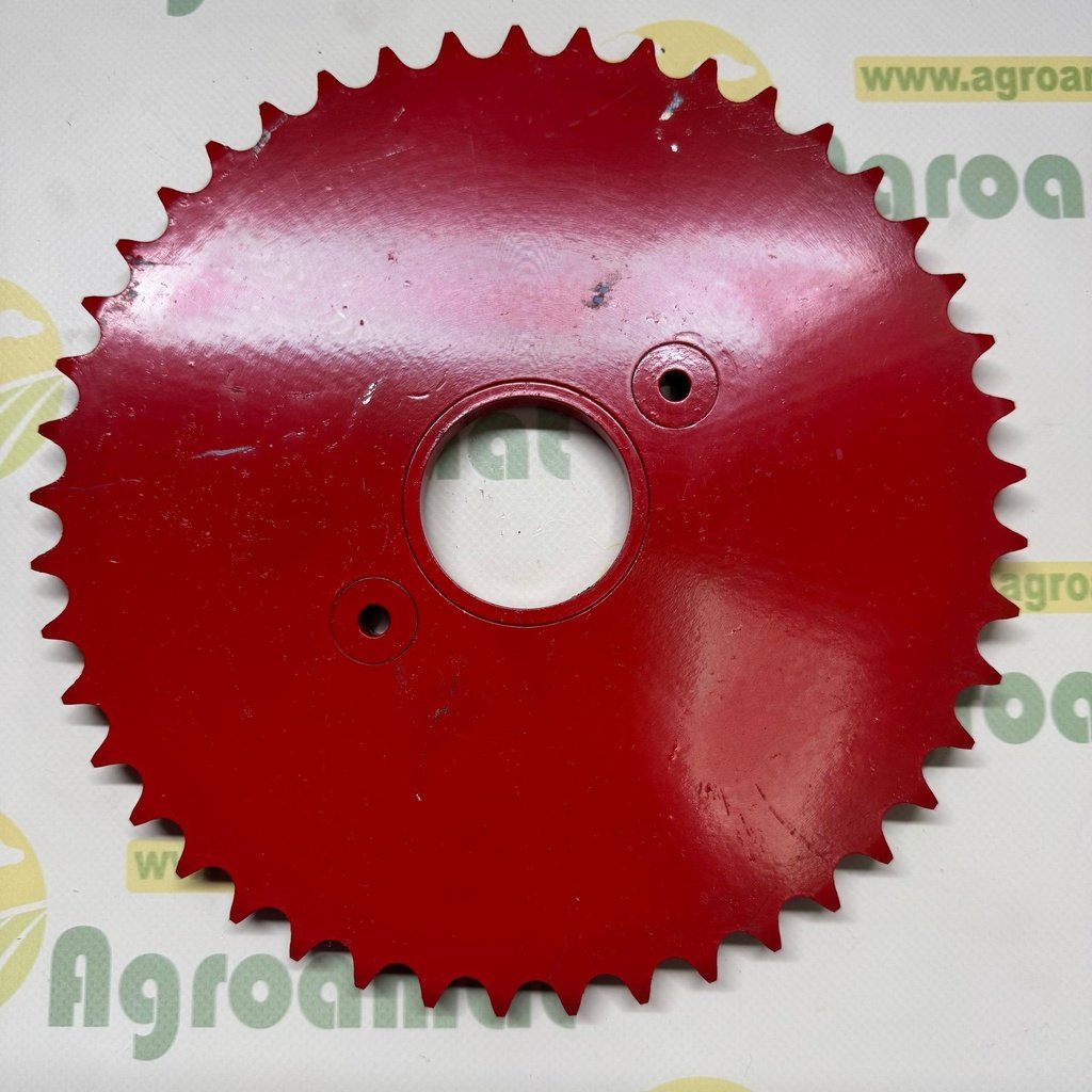 Pinion 1722.42.07.07