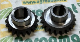Pinion