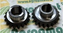 Pinion