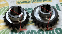 Pinion