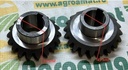Pinion