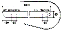 5cb9821