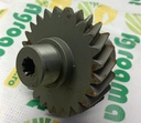Pinion Z12885