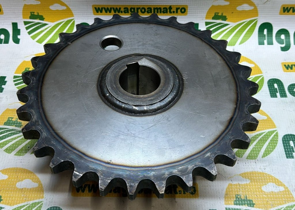Pinion 84244510 z-31