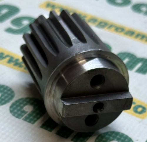 Pinion ( 2 Gauri )   5080071