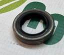 Simering Motor 636762R1