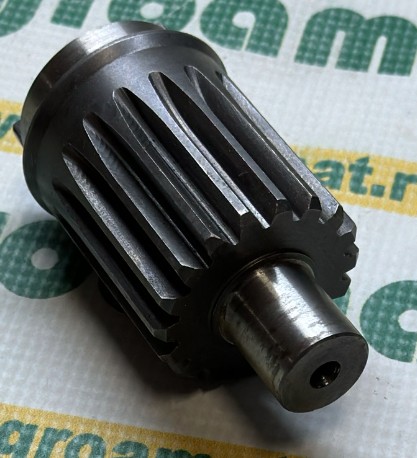Pinion (1-Gaura) 5080071