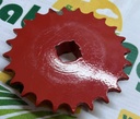 Pinion G20900041R z-24