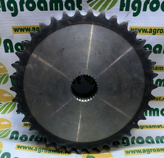 Pinion Org Z-38