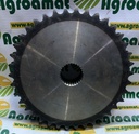 Pinion Org Z-38