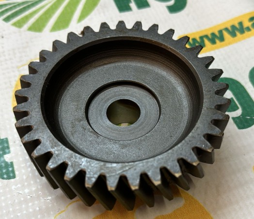 Pinion Pompa Z=33 T20298