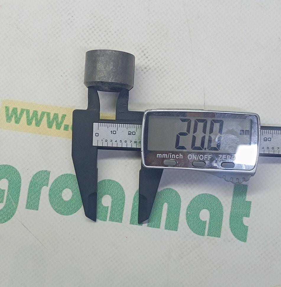 Bucsa Horsch 00230002