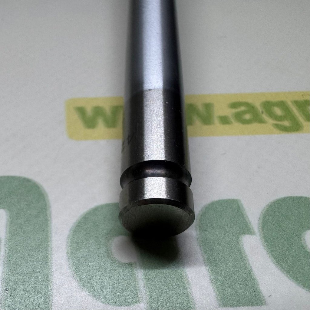 Supapa Admisie 