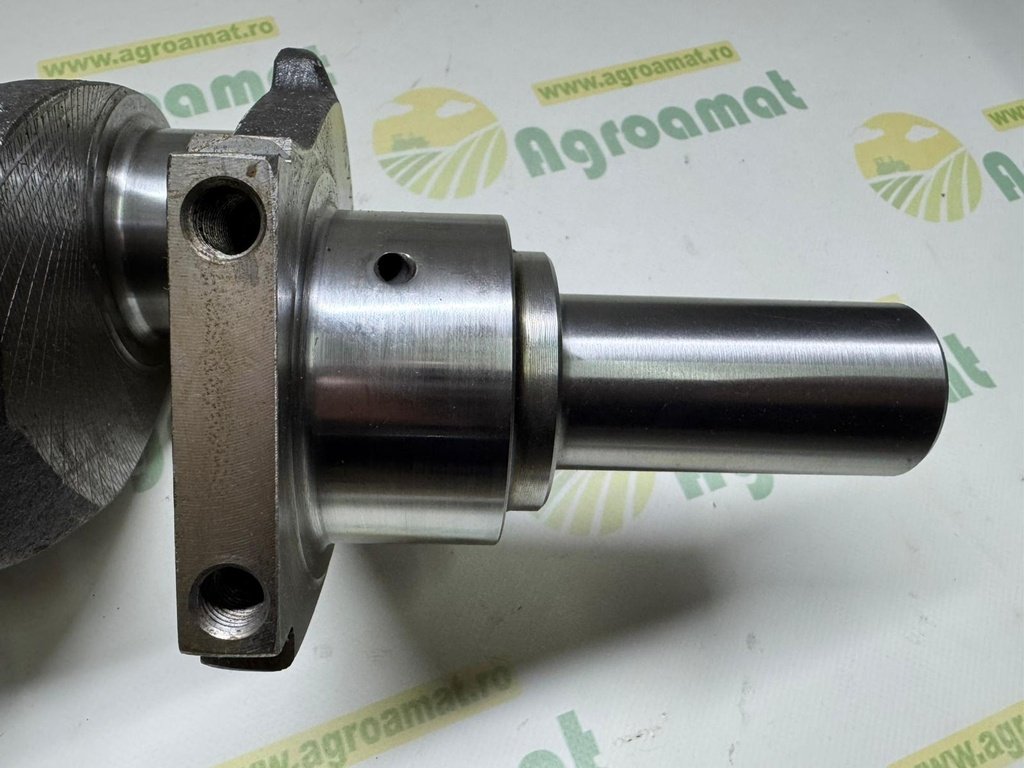 Vibrochen 31312737