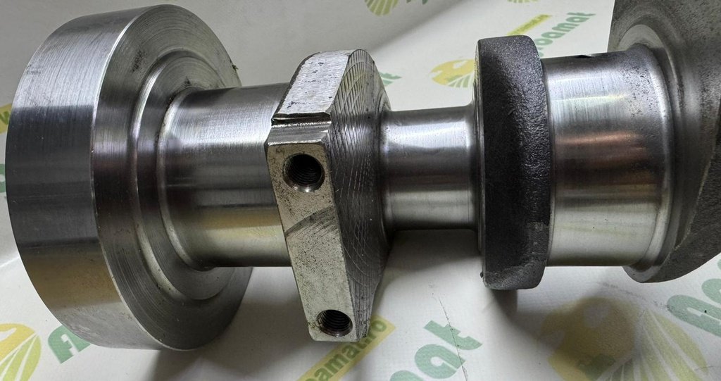 Vibrochen 31312737