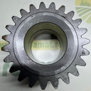 Pinion Planetara 31796700
