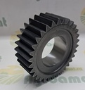 Pinion Satelit Z-31