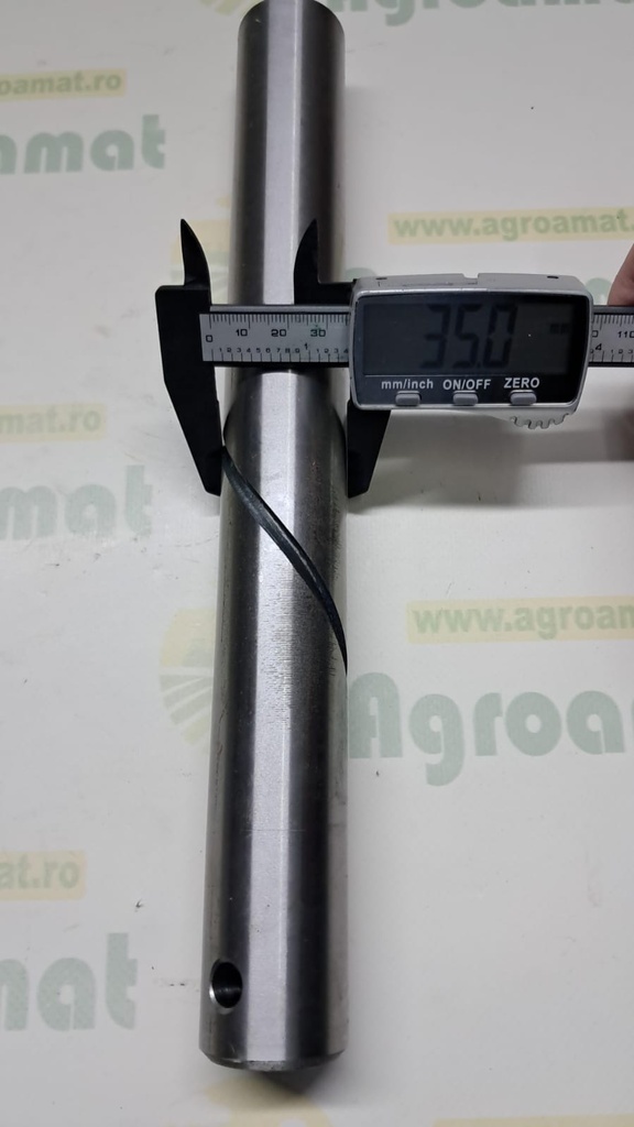 Arbore 44000312