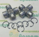 Kit Reparatie Planetara F931303220163