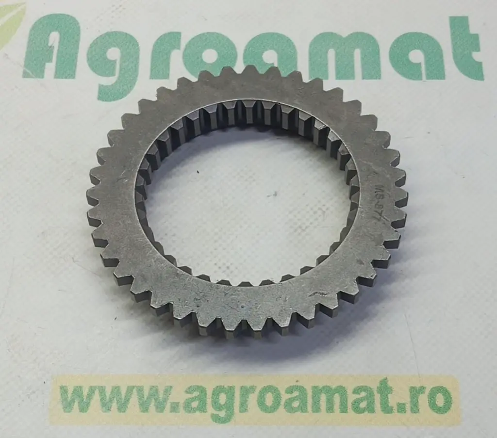 76b45b18-a950-4aae-aee3-cff66293f317.webp