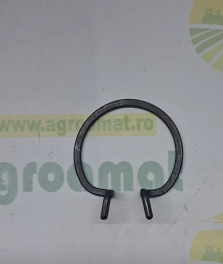 7dc6ec46-85a4-4a9f-b997-f3dc3bfe4bf7.webp