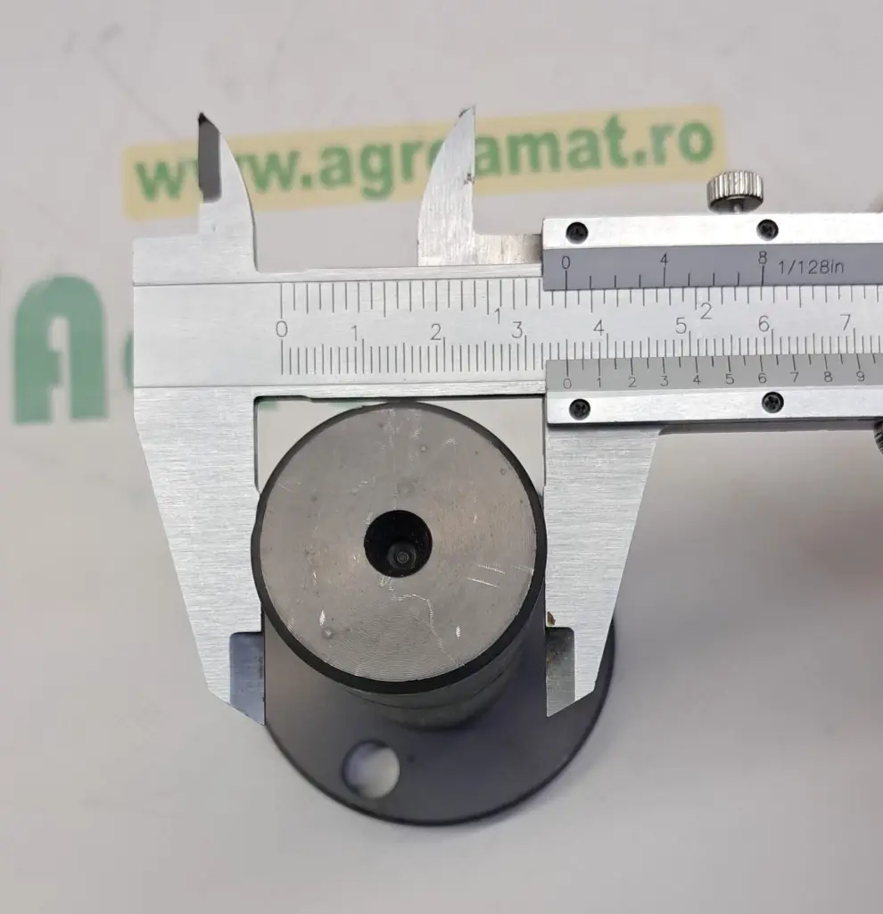 a1275caf-b8c5-41a4-bbd2-795f648c41d9.webp