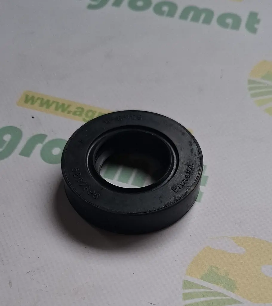 cd7622fd-5dc1-4a49-83f9-f630672fda7f.webp